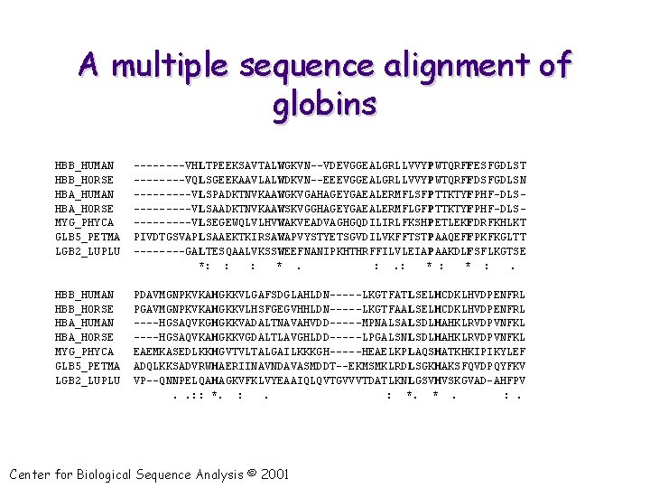 A multiple sequence alignment of globins HBB_HUMAN HBB_HORSE HBA_HUMAN HBA_HORSE MYG_PHYCA GLB 5_PETMA LGB