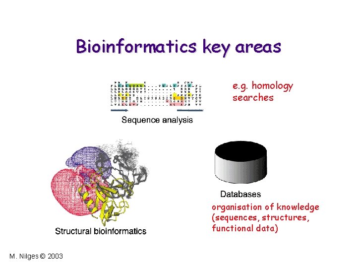 Bioinformatics key areas e. g. homology searches organisation of knowledge (sequences, structures, functional data)