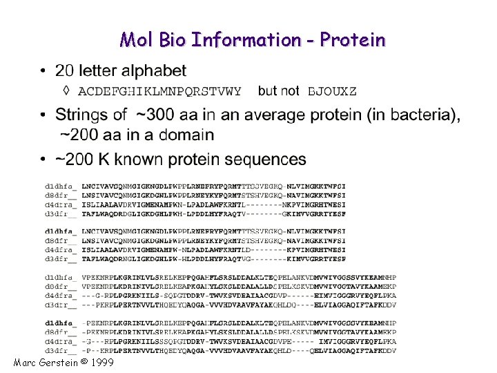Mol Bio Information - Protein Marc Gerstein © 1999 