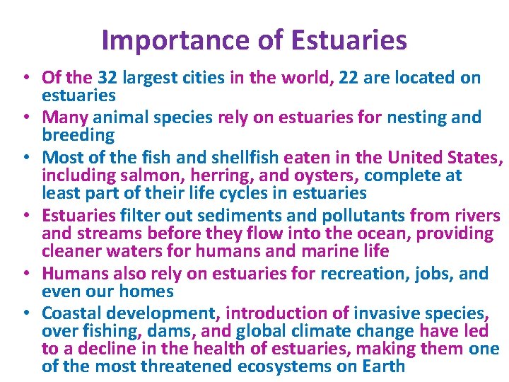 Importance of Estuaries • Of the 32 largest cities in the world, 22 are Importance of Estuaries • Of the 32 largest cities in the world, 22 are