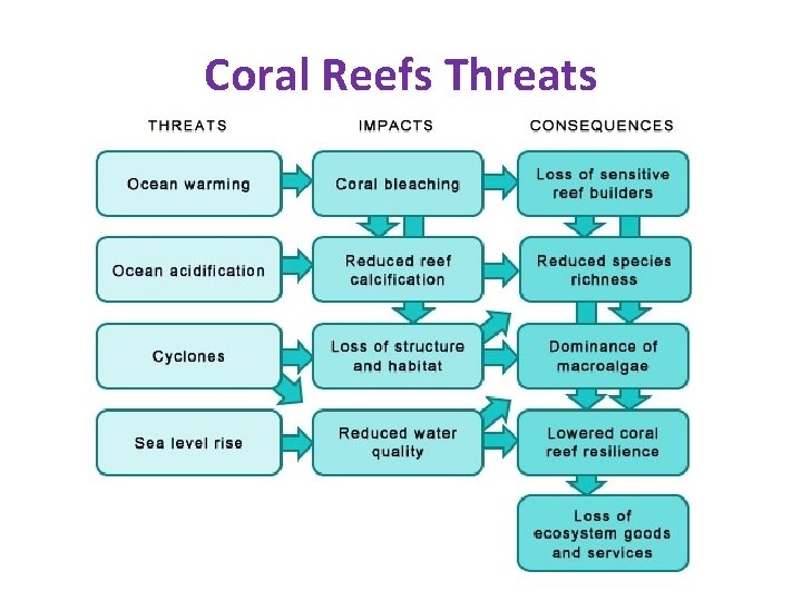 Coral Reefs Threats Coral Reefs Threats