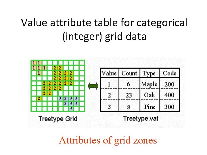 Value attribute table for categorical (integer) grid data Attributes of grid zones 
