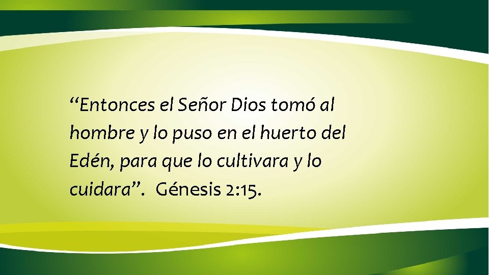 “Entonces el Señor Dios tomó al hombre y lo puso en el huerto del