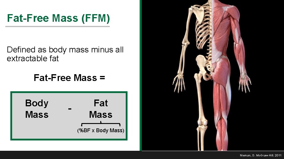 Fat-Free Mass (FFM) Defined as body mass minus all extractable fat Fat-Free Mass =