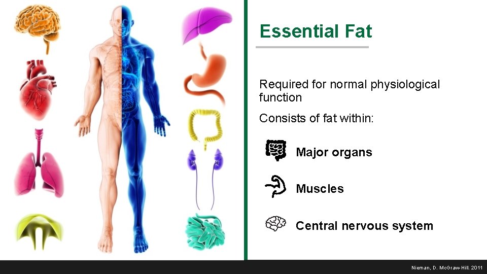 Essential Fat Required for normal physiological function Consists of fat within: Major organs Muscles