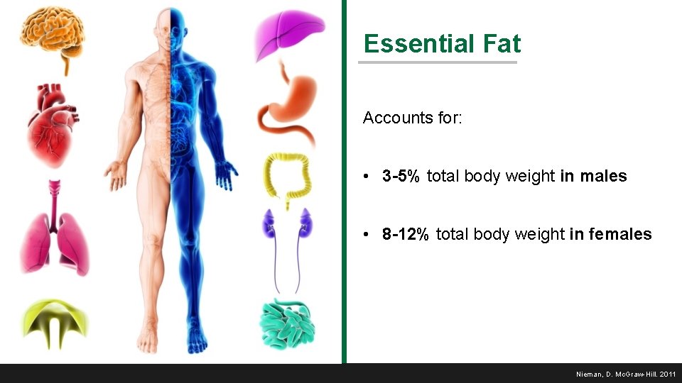 Essential Fat Accounts for: • 3 -5% total body weight in males • 8