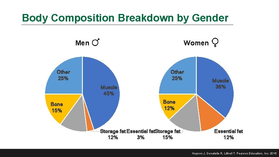 Body Composition Breakdown by Gender Men Women Other 25% Muscle 45% Bone 15% Muscle