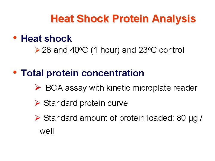 Heat Shock Protein Analysis • Heat shock Ø 28 and 40 o. C (1