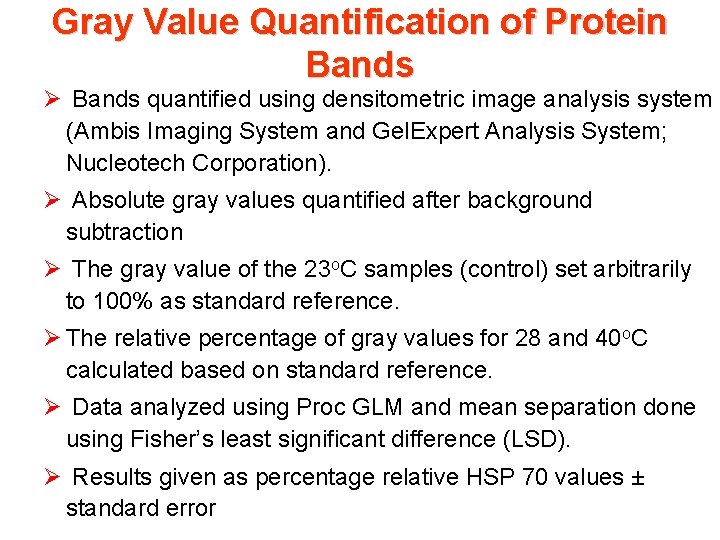 Gray Value Quantification of Protein Bands Ø Bands quantified using densitometric image analysis system