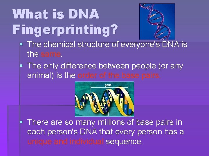 What is DNA Fingerprinting? § The chemical structure of everyone's DNA is the same.