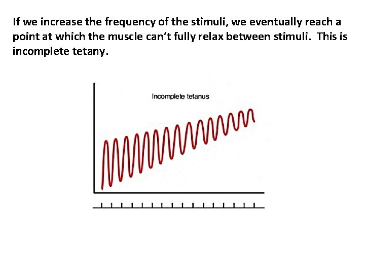 If we increase the frequency of the stimuli, we eventually reach a point at If we increase the frequency of the stimuli, we eventually reach a point at
