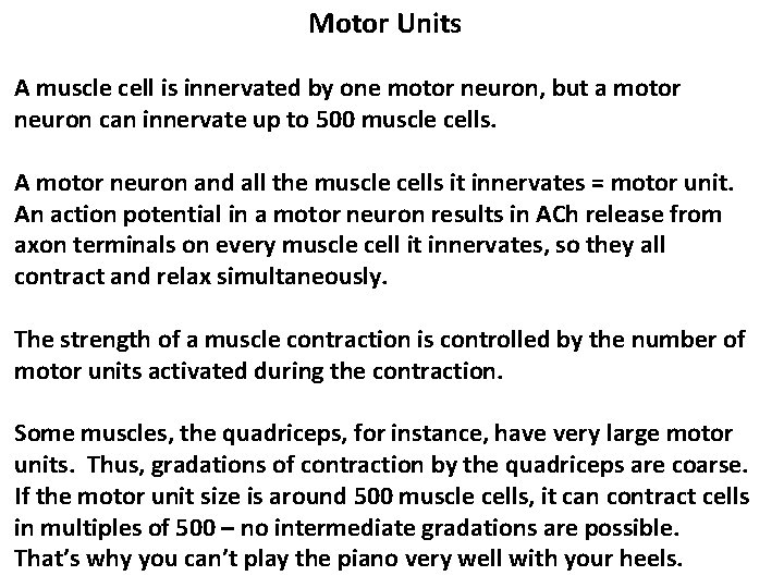 Motor Units A muscle cell is innervated by one motor neuron, but a motor