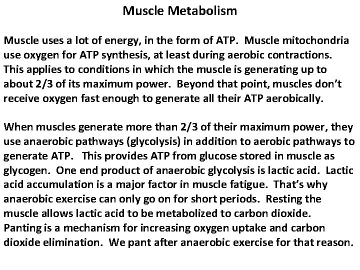 Muscle Metabolism Muscle uses a lot of energy, in the form of ATP. Muscle