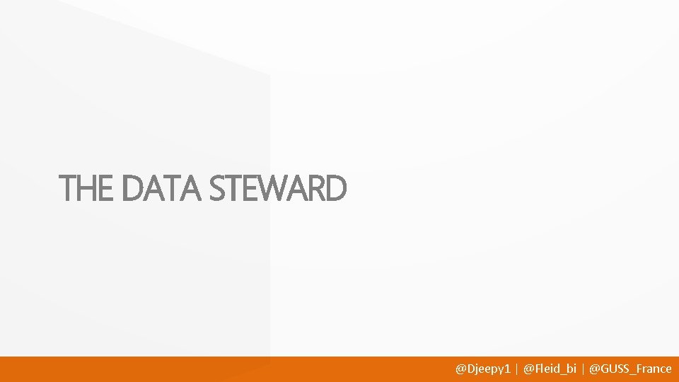 THE DATA STEWARD @Djeepy 1 | @Fleid_bi | @GUSS_France 