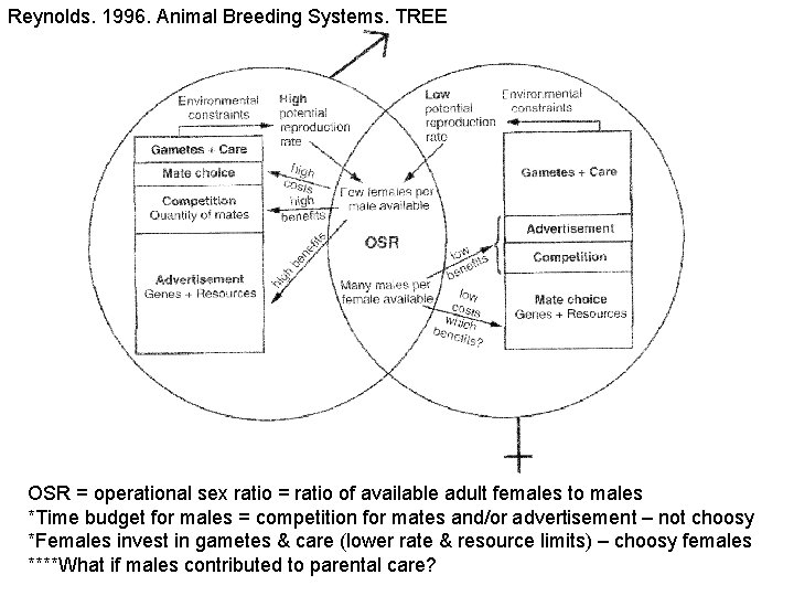 Reynolds. 1996. Animal Breeding Systems. TREE OSR = operational sex ratio = ratio of