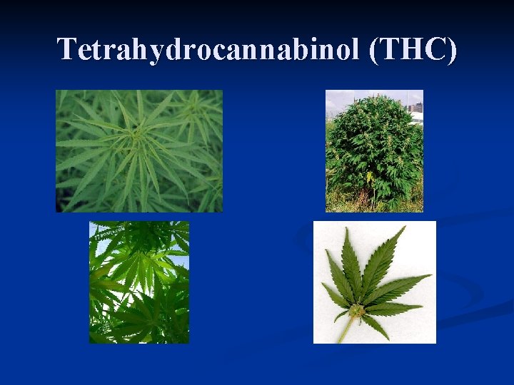 Tetrahydrocannabinol (THC) 