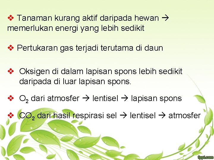 v Tanaman kurang aktif daripada hewan memerlukan energi yang lebih sedikit v Pertukaran gas