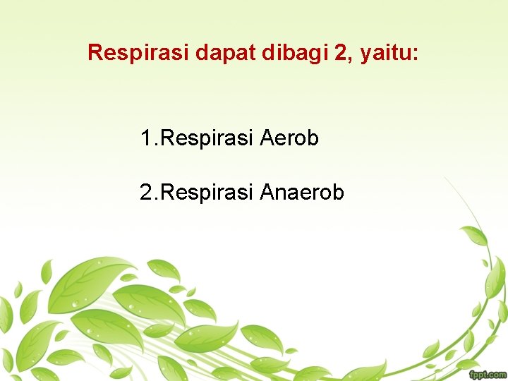 Respirasi dapat dibagi 2, yaitu: 1. Respirasi Aerob 2. Respirasi Anaerob 