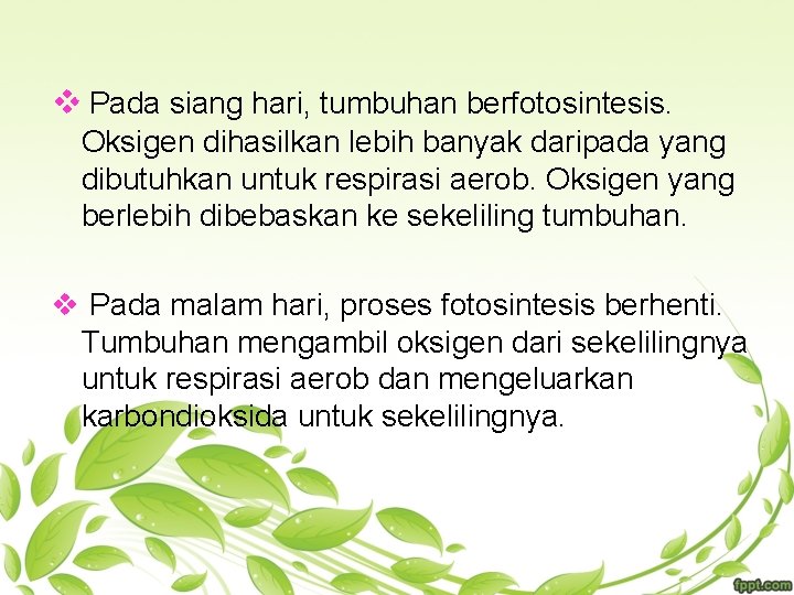 v Pada siang hari, tumbuhan berfotosintesis. Oksigen dihasilkan lebih banyak daripada yang dibutuhkan untuk