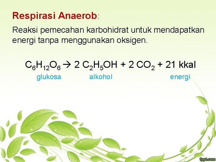 Respirasi Anaerob: Reaksi pemecahan karbohidrat untuk mendapatkan energi tanpa menggunakan oksigen. C 6 H