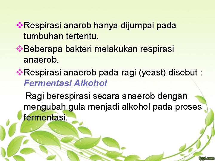 v. Respirasi anarob hanya dijumpai pada tumbuhan tertentu. v. Beberapa bakteri melakukan respirasi anaerob.