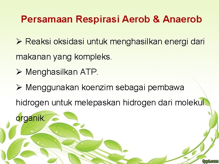 Persamaan Respirasi Aerob & Anaerob Ø Reaksi oksidasi untuk menghasilkan energi dari makanan yang