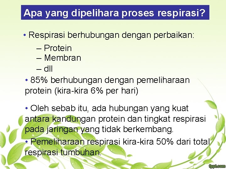 Apa yang dipelihara proses respirasi? • Respirasi berhubungan dengan perbaikan: – Protein – Membran