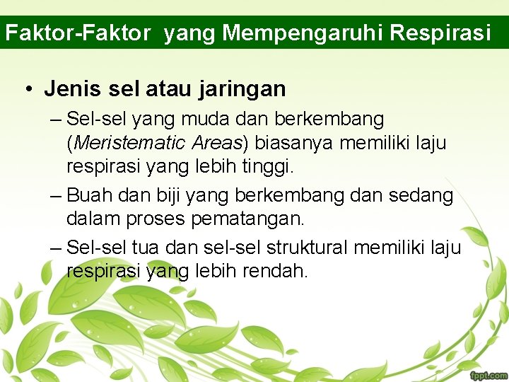 Faktor-Faktor yang Mempengaruhi Respirasi • Jenis sel atau jaringan – Sel-sel yang muda dan