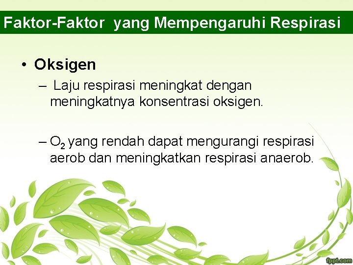 Faktor-Faktor yang Mempengaruhi Respirasi • Oksigen – Laju respirasi meningkat dengan meningkatnya konsentrasi oksigen.