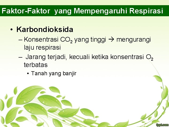 Faktor-Faktor yang Mempengaruhi Respirasi • Karbondioksida – Konsentrasi CO 2 yang tinggi mengurangi laju