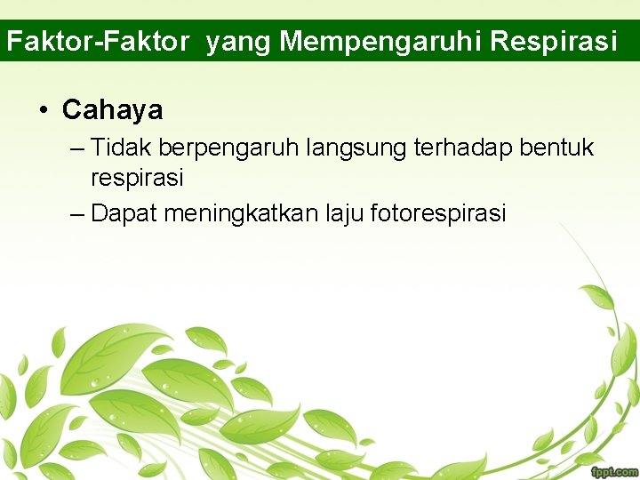 Faktor-Faktor yang Mempengaruhi Respirasi • Cahaya – Tidak berpengaruh langsung terhadap bentuk respirasi –