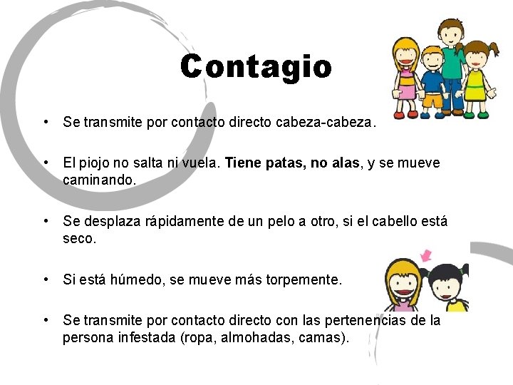 Contagio • Se transmite por contacto directo cabeza-cabeza. • El piojo no salta ni