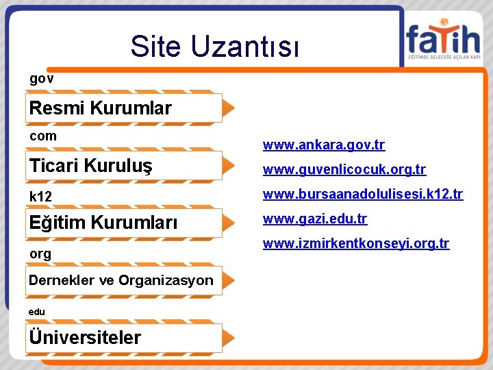 Site Uzantısı gov Resmi Kurumlar com www. ankara. gov. tr Ticari Kuruluş www. guvenlicocuk.