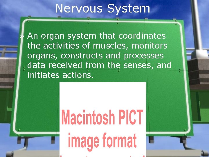 Nervous System » An organ system that coordinates the activities of muscles, monitors organs,