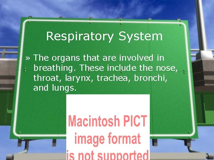 Respiratory System » The organs that are involved in breathing. These include the nose,