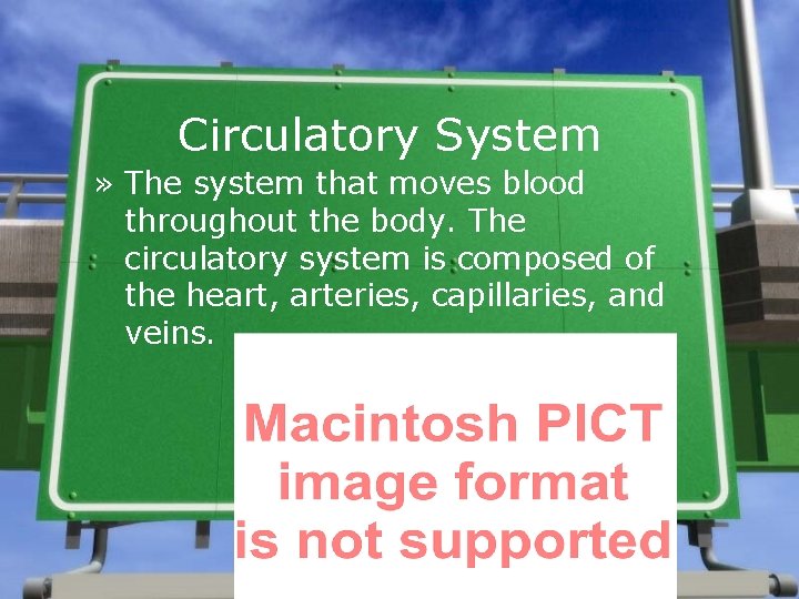 Circulatory System » The system that moves blood throughout the body. The circulatory system