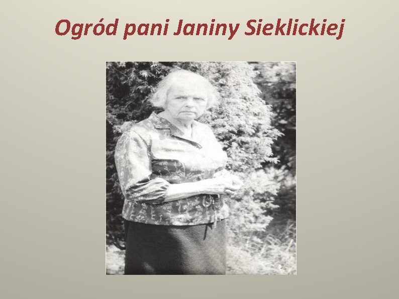 Ogród pani Janiny Sieklickiej 