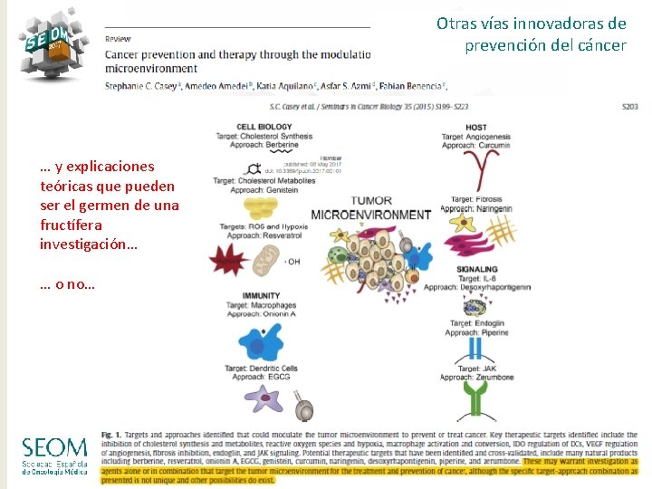 Otras vías innovadoras de prevención del cáncer … y explicaciones teóricas que pueden ser