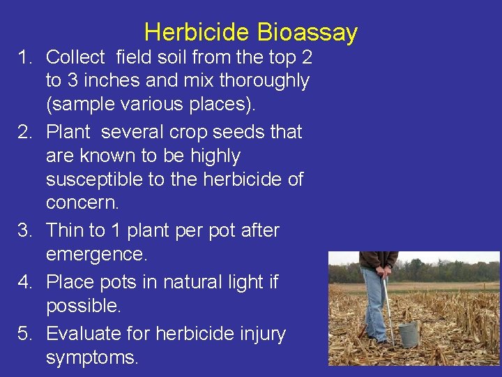 Herbicide Bioassay 1. Collect field soil from the top 2 to 3 inches and