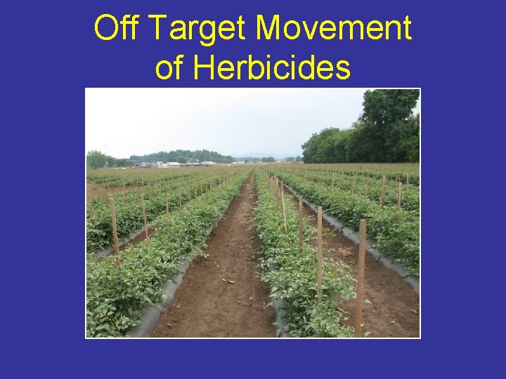 Off Target Movement of Herbicides 