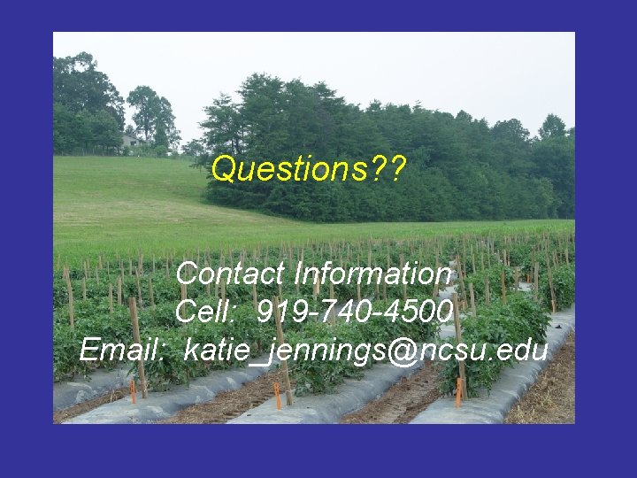 Questions? ? Contact Information Cell: 919 -740 -4500 Email: katie_jennings@ncsu. edu 