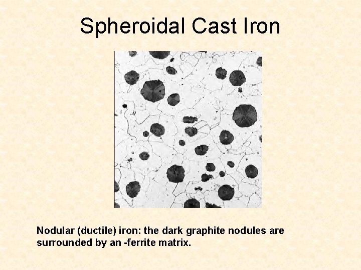 Spheroidal Cast Iron Nodular (ductile) iron: the dark graphite nodules are surrounded by an