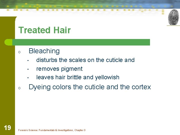 Treated Hair o Bleaching • • • o 19 disturbs the scales on the