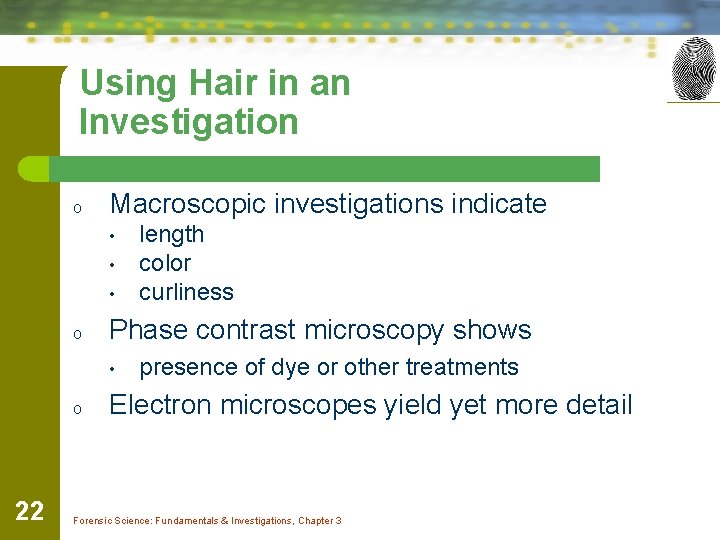 Using Hair in an Investigation o Macroscopic investigations indicate • • • o Phase
