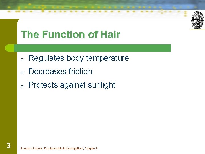 The Function of Hair 3 o Regulates body temperature o Decreases friction o Protects