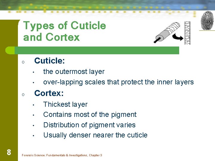 Types of Cuticle and Cortex o Cuticle: • • o Cortex: • • 8