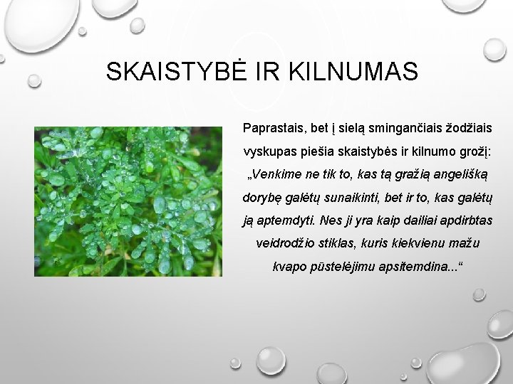 SKAISTYBĖ IR KILNUMAS Paprastais, bet į sielą smingančiais žodžiais vyskupas piešia skaistybės ir kilnumo