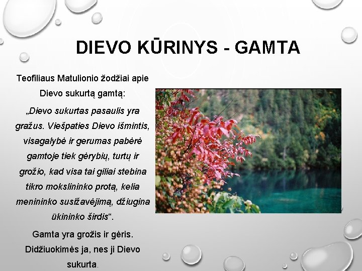 DIEVO KŪRINYS - GAMTA Teofiliaus Matulionio žodžiai apie Dievo sukurtą gamtą: „Dievo sukurtas pasaulis