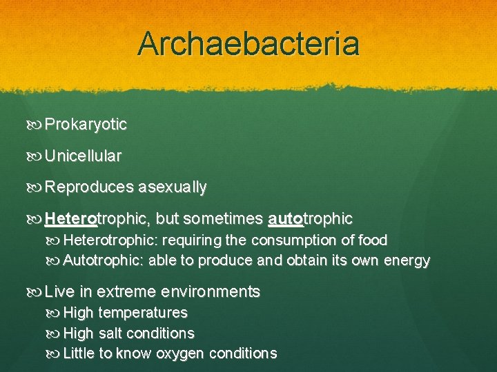 Archaebacteria Prokaryotic Unicellular Reproduces asexually Heterotrophic, but sometimes autotrophic Heterotrophic: requiring the consumption of