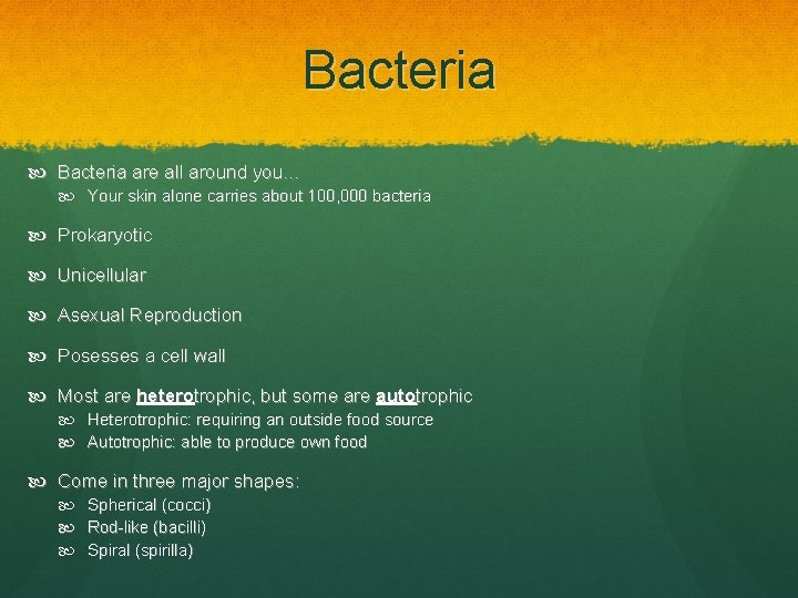 Bacteria are all around you… Your skin alone carries about 100, 000 bacteria Prokaryotic